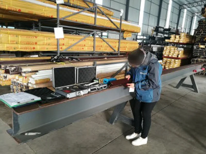 Extrusion inspection